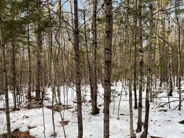 M7-l4 Ward Ridge Road Wellington, ME 04942 - Photo 6 of 14 IMG_8636