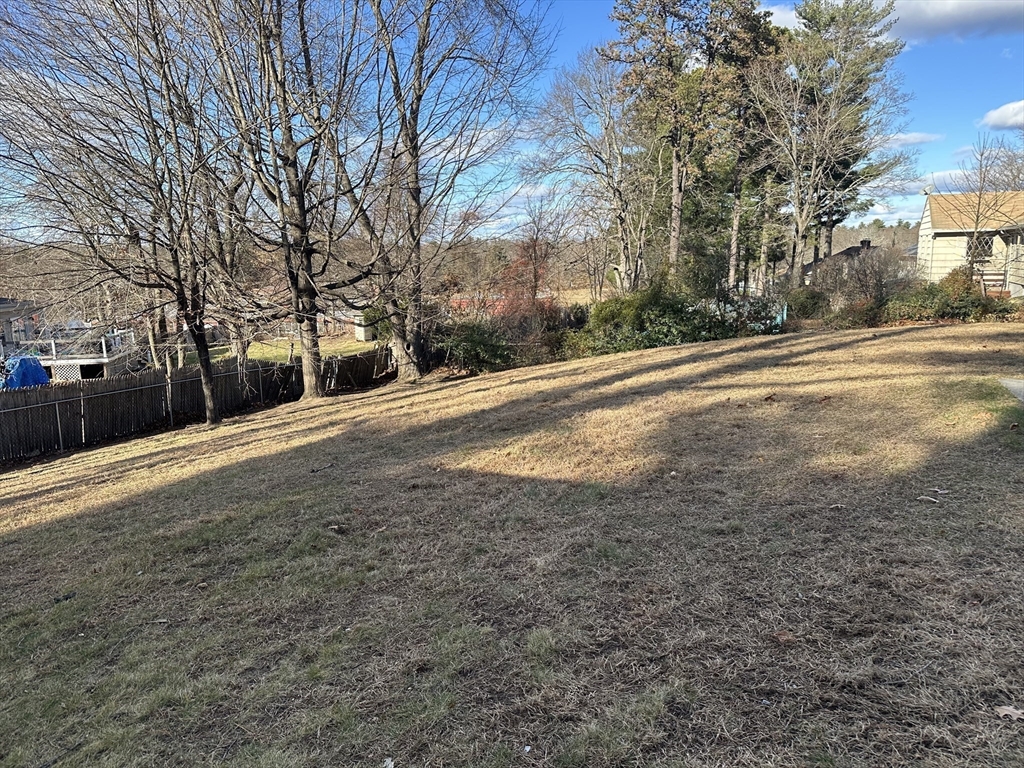 254 Hartwick Street Springfield, MA 01108 - Photo 16 of 17 a view of road with large trees