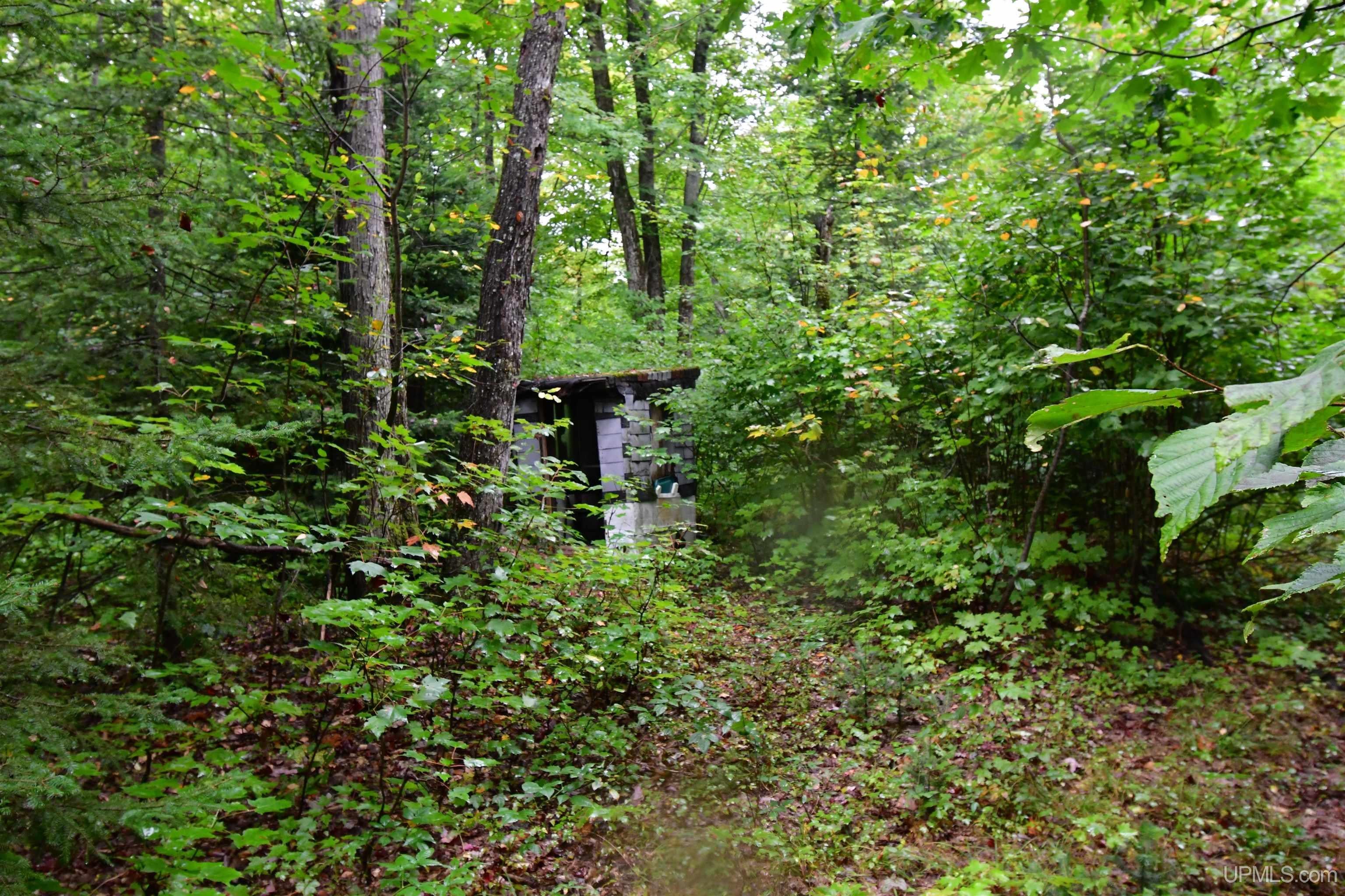 23 East 23 Mile Road Pickford, MI 49774 - Photo 57 of 58 Gallery Image 57