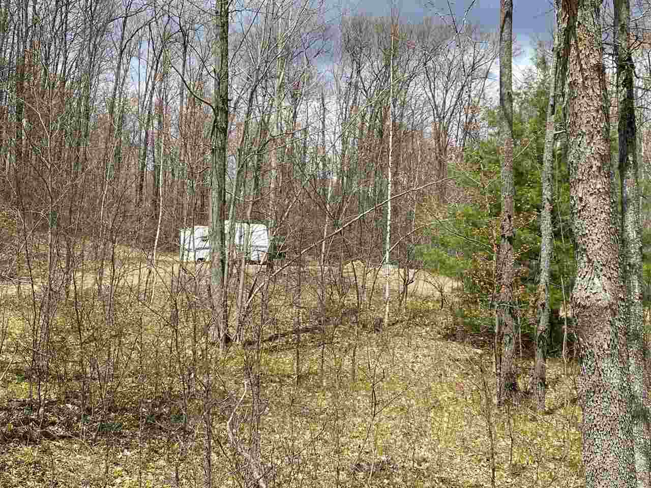 435 East Townline Lake Road Harrison, MI 48625 - Photo 19 of 24