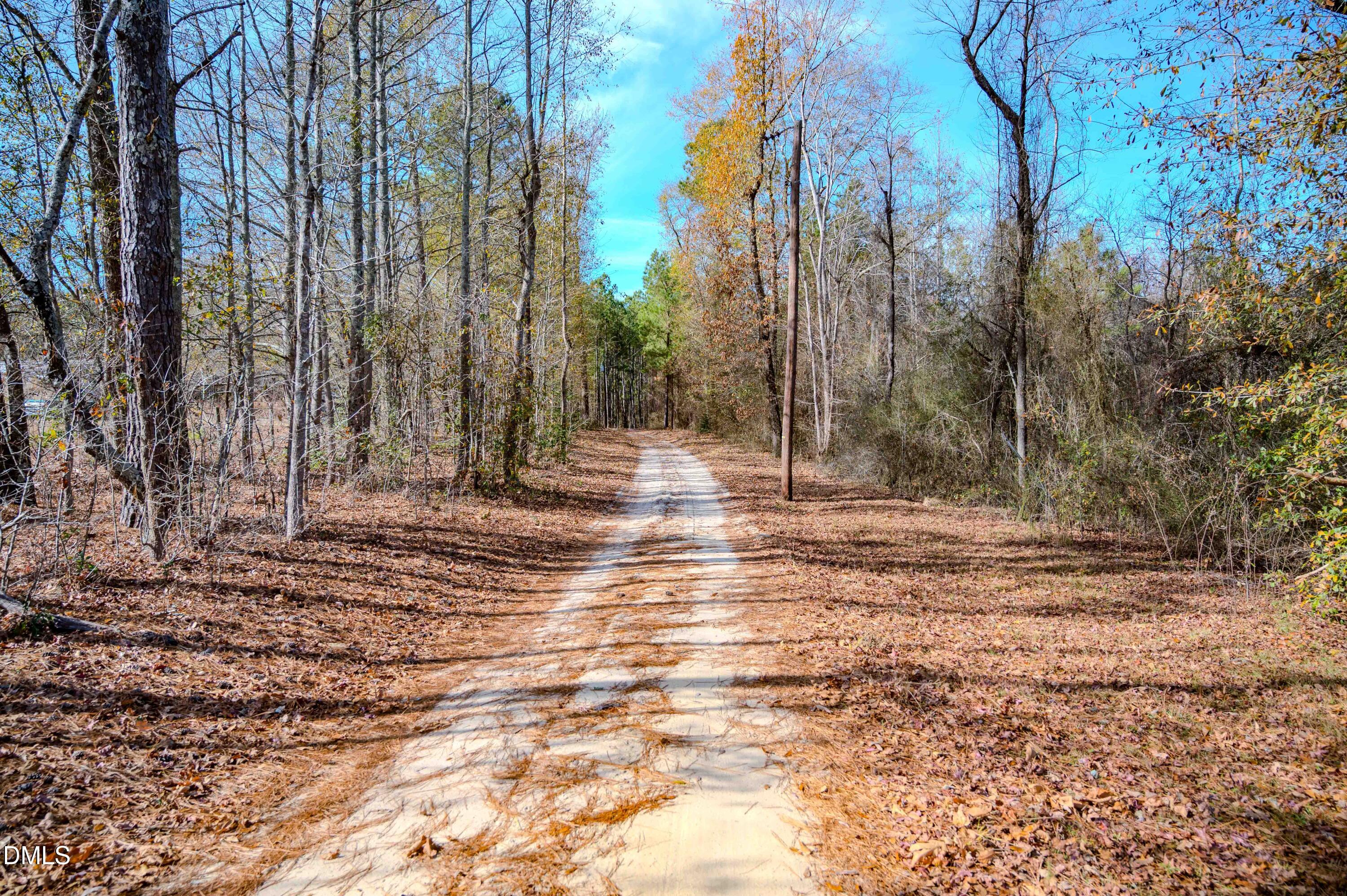 5131 Ponderosa Road Sanford, NC 27332 - Photo 11 of 51 a view of a yard with trees