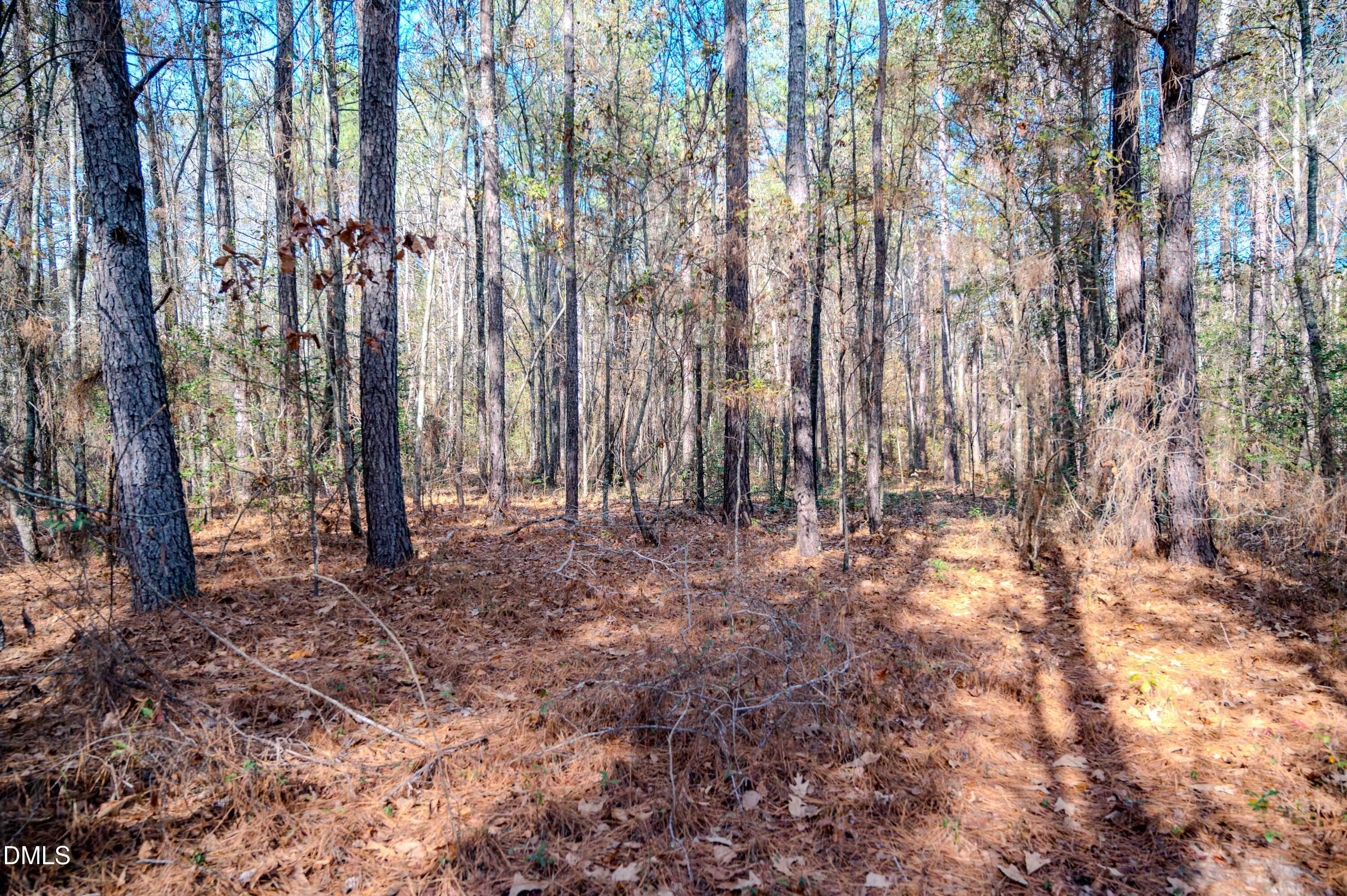 5131 Ponderosa Road Sanford, NC 27332 - Photo 28 of 51 a view of forest