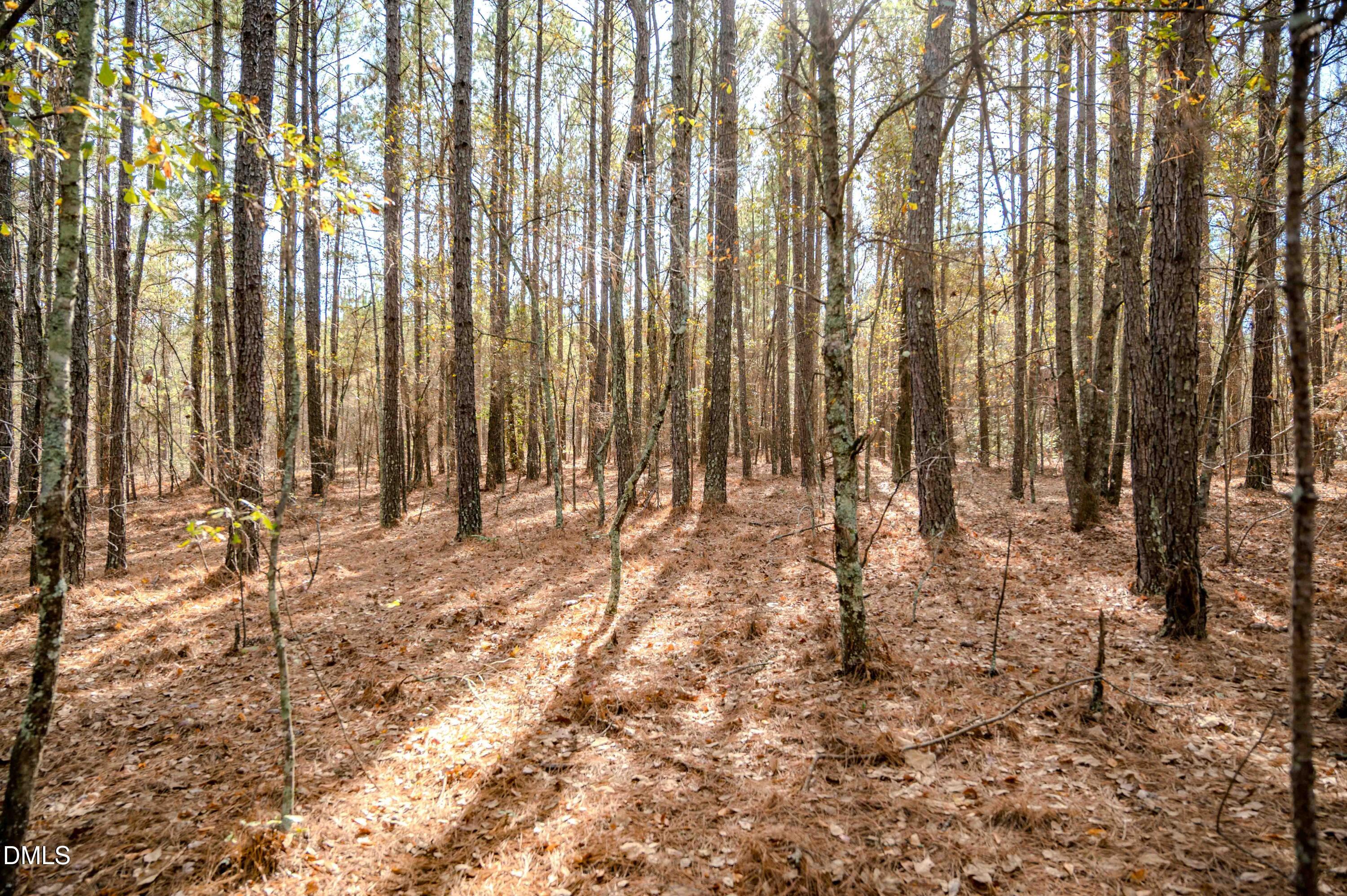 5131 Ponderosa Road Sanford, NC 27332 - Photo 29 of 51 a view of wooden fence with trees in the background