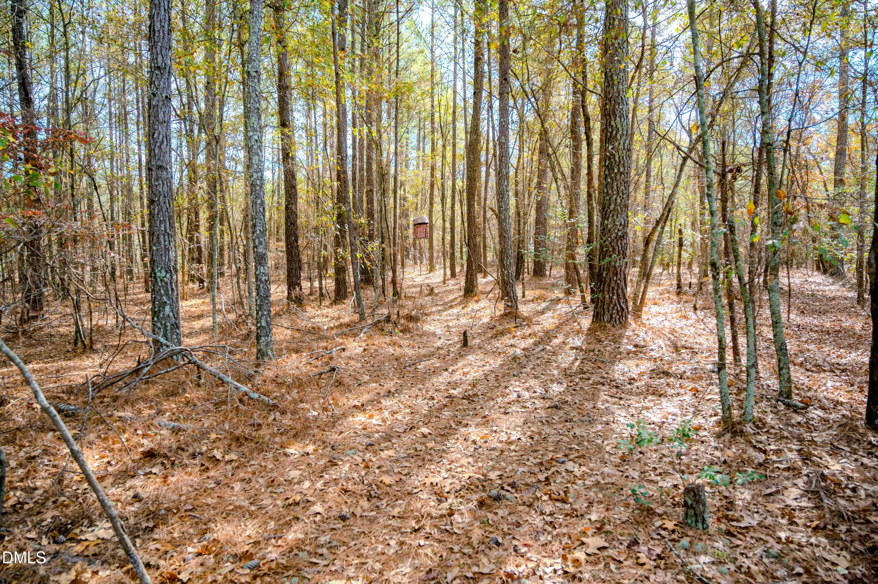 5131 Ponderosa Road Sanford, NC 27332 - Photo 34 of 51