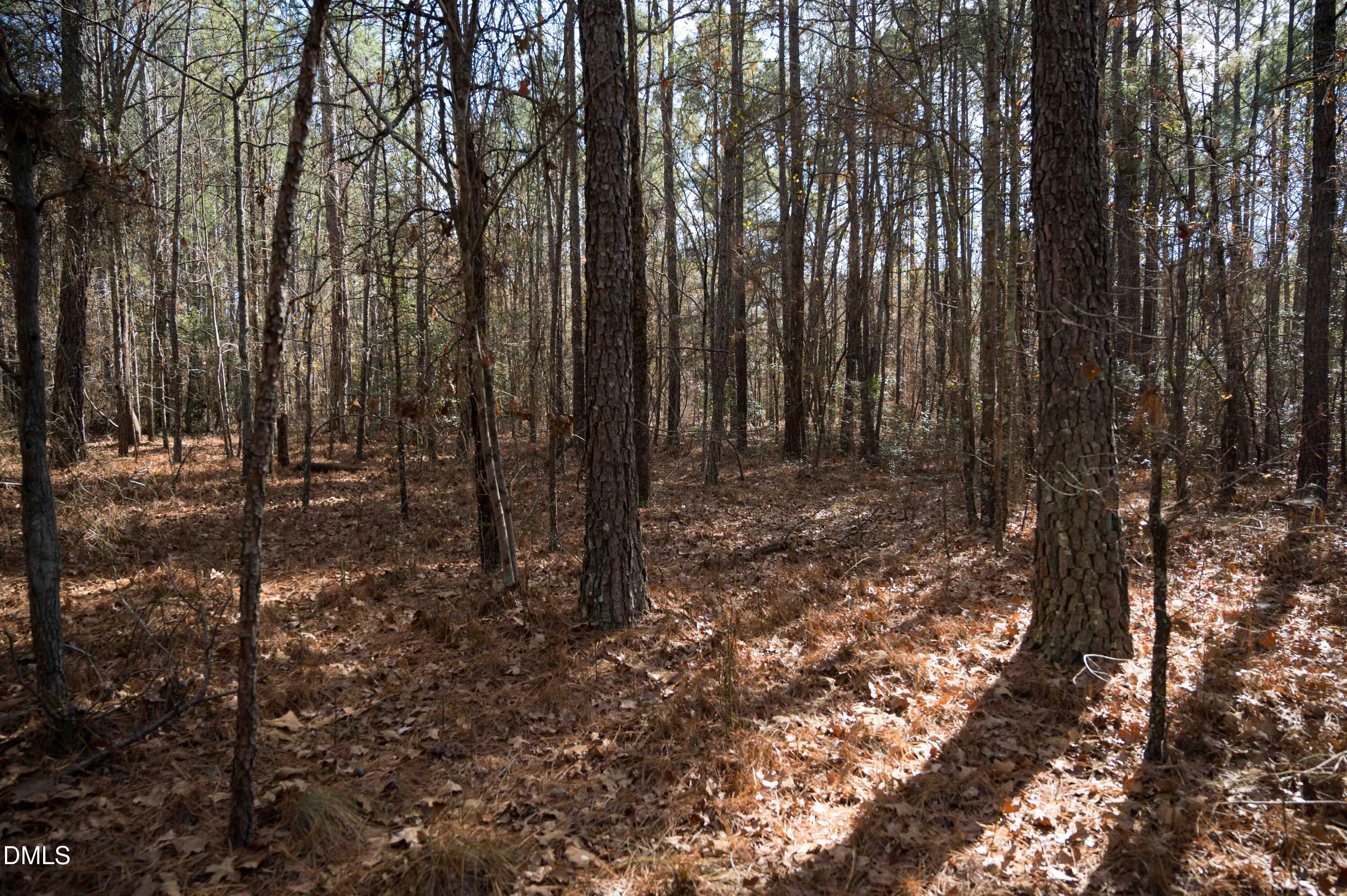 5131 Ponderosa Road Sanford, NC 27332 - Photo 47 of 51 a view of backyard with green space
