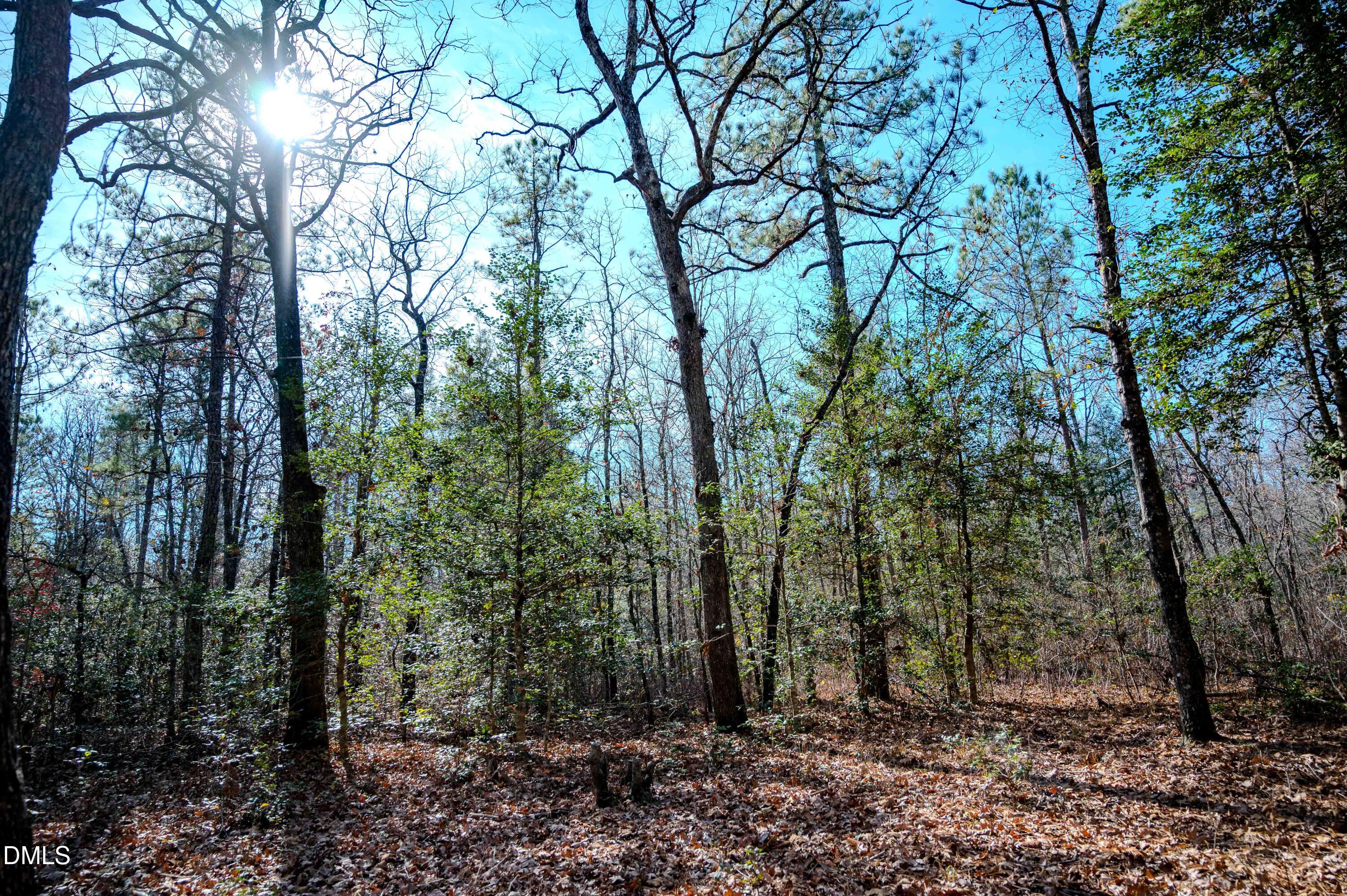 5131 Ponderosa Road Sanford, NC 27332 - Photo 48 of 51 a view of forest