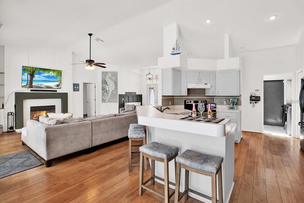 2454 Shadecrest Road Land O' Lakes, FL 34639 - Photo 6 of 30