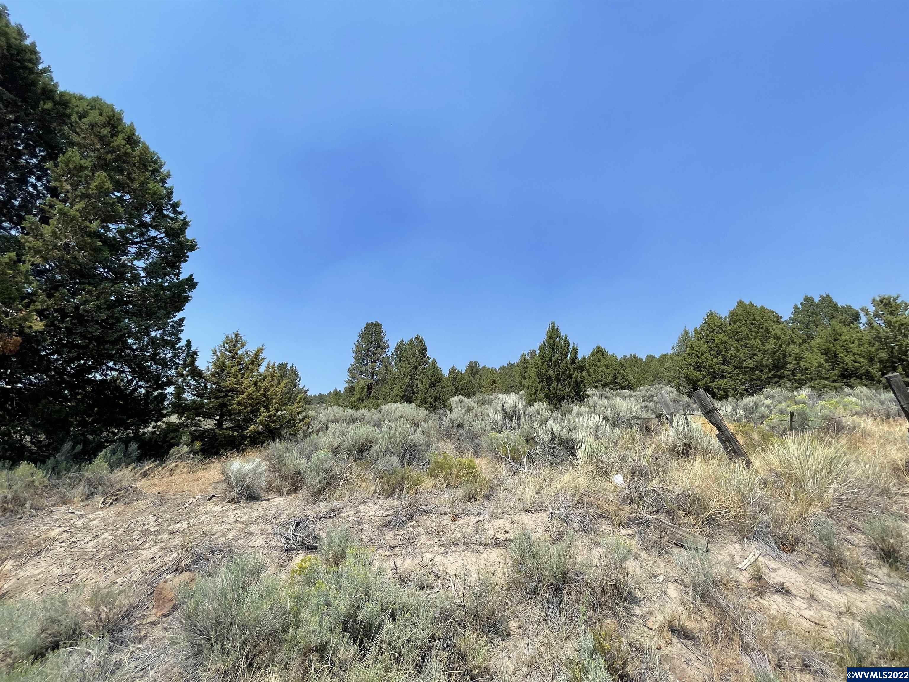 Drews (lot 19) Road Chiloquin, OR 97624 - Photo 2 of 8