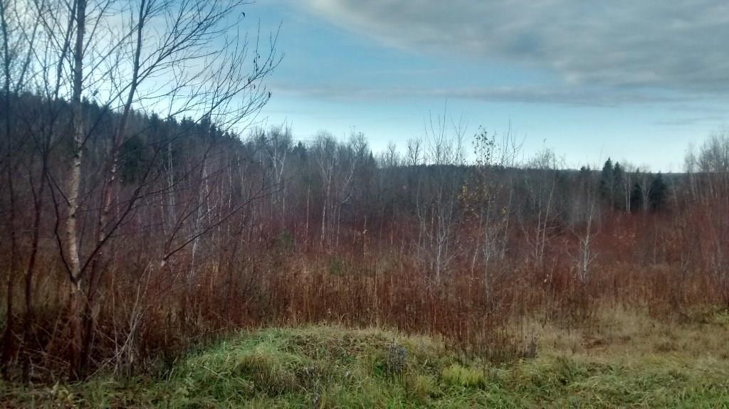 14 Johnson Road Presque Isle, ME 04769 - Photo 3 of 8 Photo