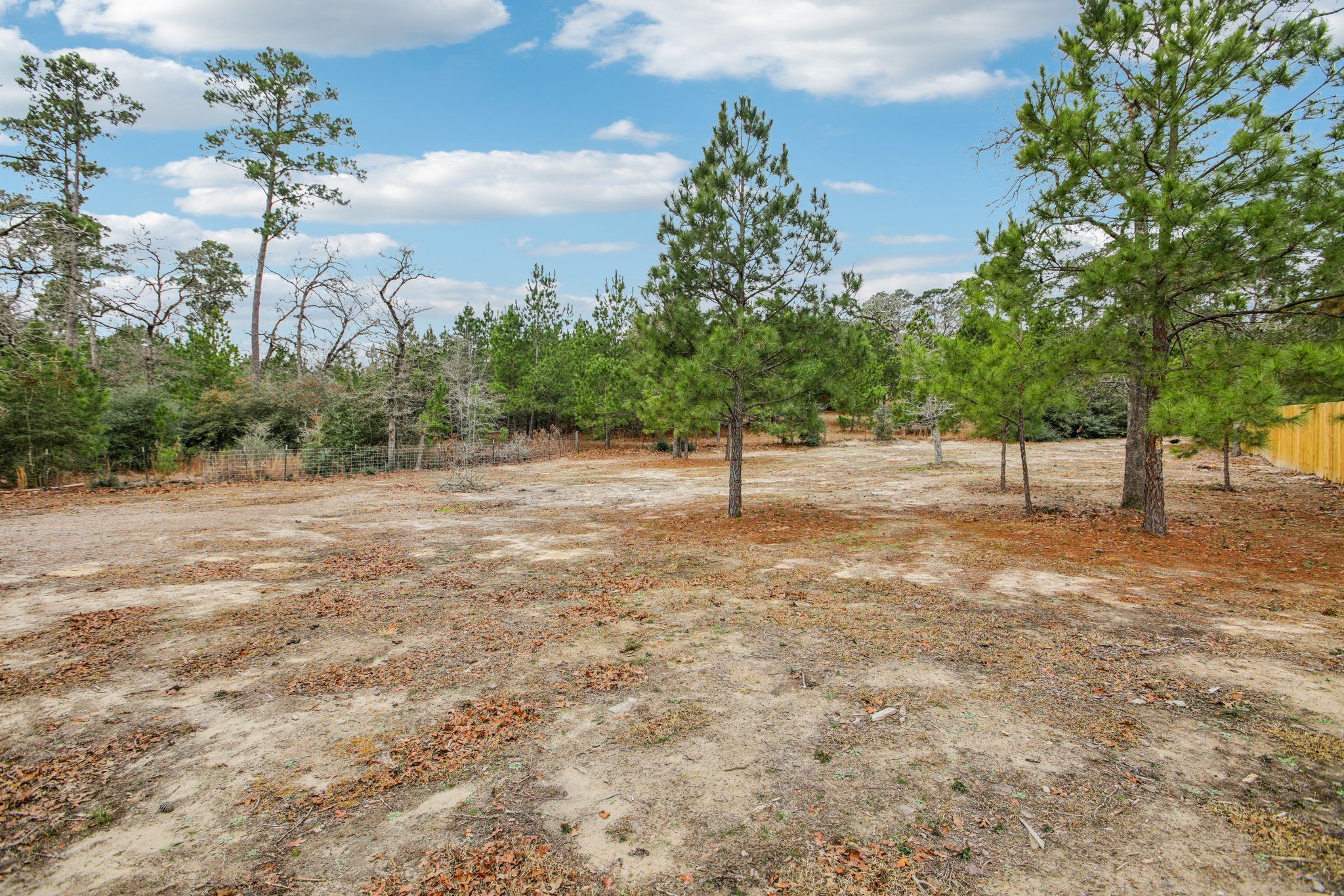 198 Kelley Road East Bastrop, TX 78602 - Photo 37 of 40 a view of a tree with a yard