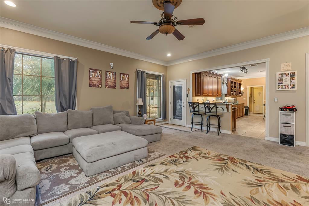 12168 Highway 157 Princeton, LA 71067 - Photo 15 of 32 Living area with ornamental molding, recessed lighting, light colored carpet, and ceiling fan