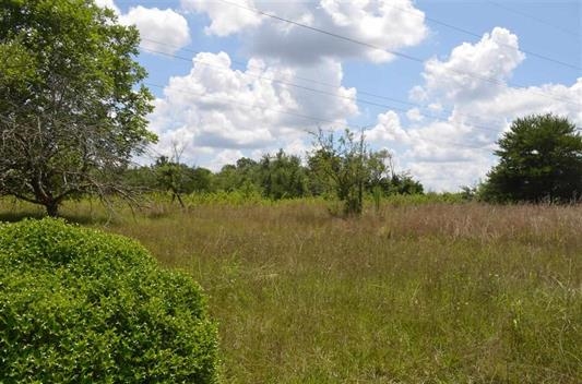 1120 Gibbs Road Wellford, SC 29385 - Photo 3 of 9