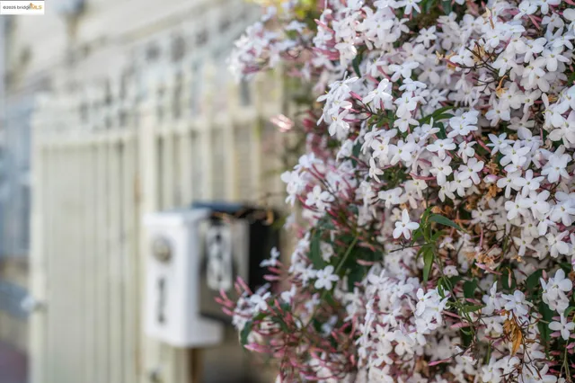 $699,000 | 1820 International Boulevard, Oakland, CA 94606