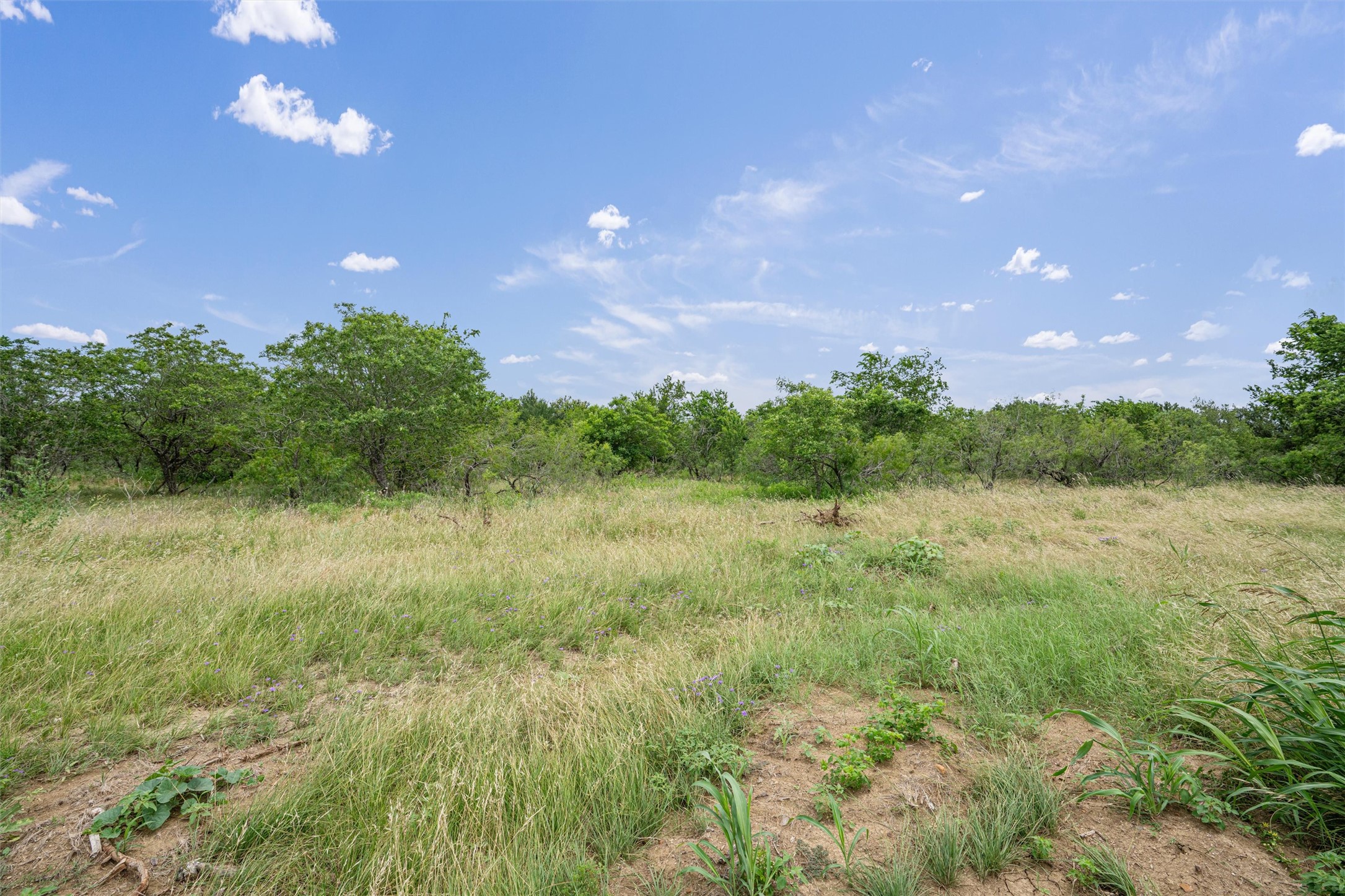 3315 County Road 463 Elgin, TX 78621 - Photo 22 of 32 A verdant, open lot unfolds under a wide-open sky, offering a canvas for your vision.