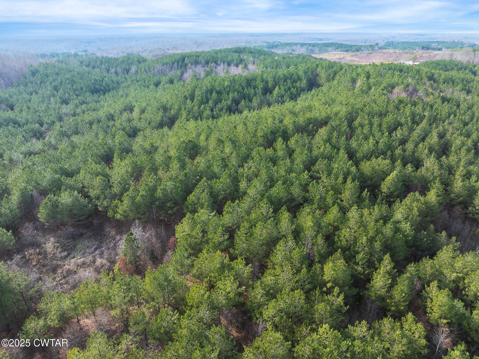 0 Old State Highway 69 Road Sugar Tree, TN 38380 - Photo 11 of 12 DJI_20250218155104_0643_D