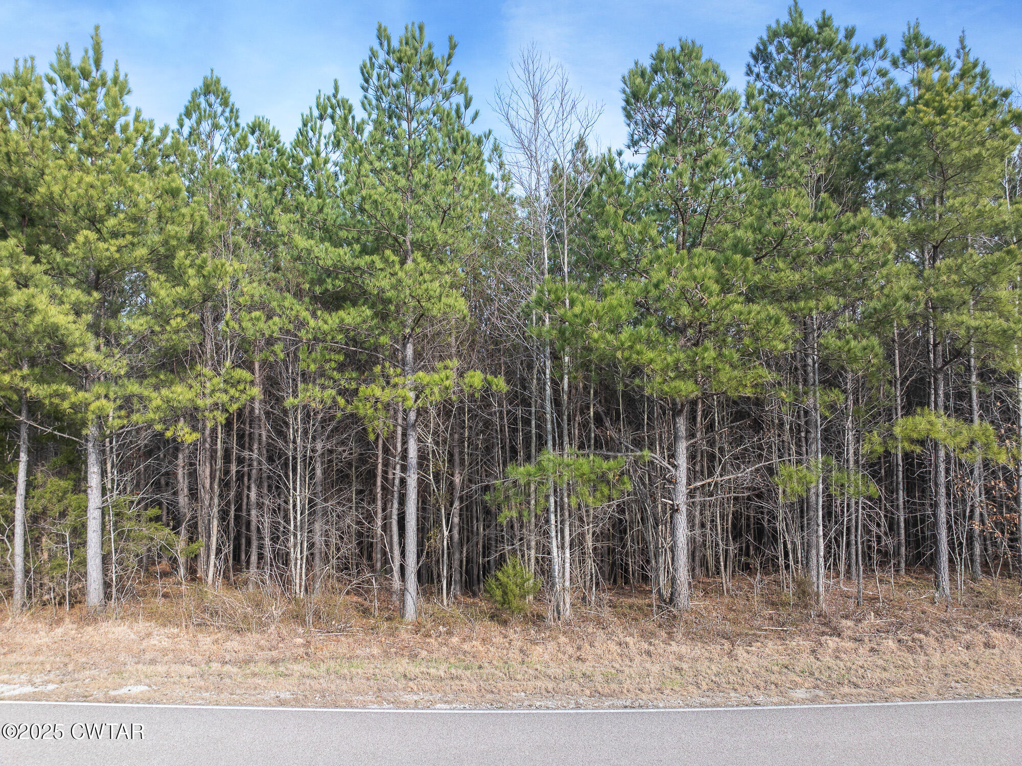 0 Old State Highway 69 Road Sugar Tree, TN 38380 - Photo 12 of 12 DJI_20250218155153_0644_D