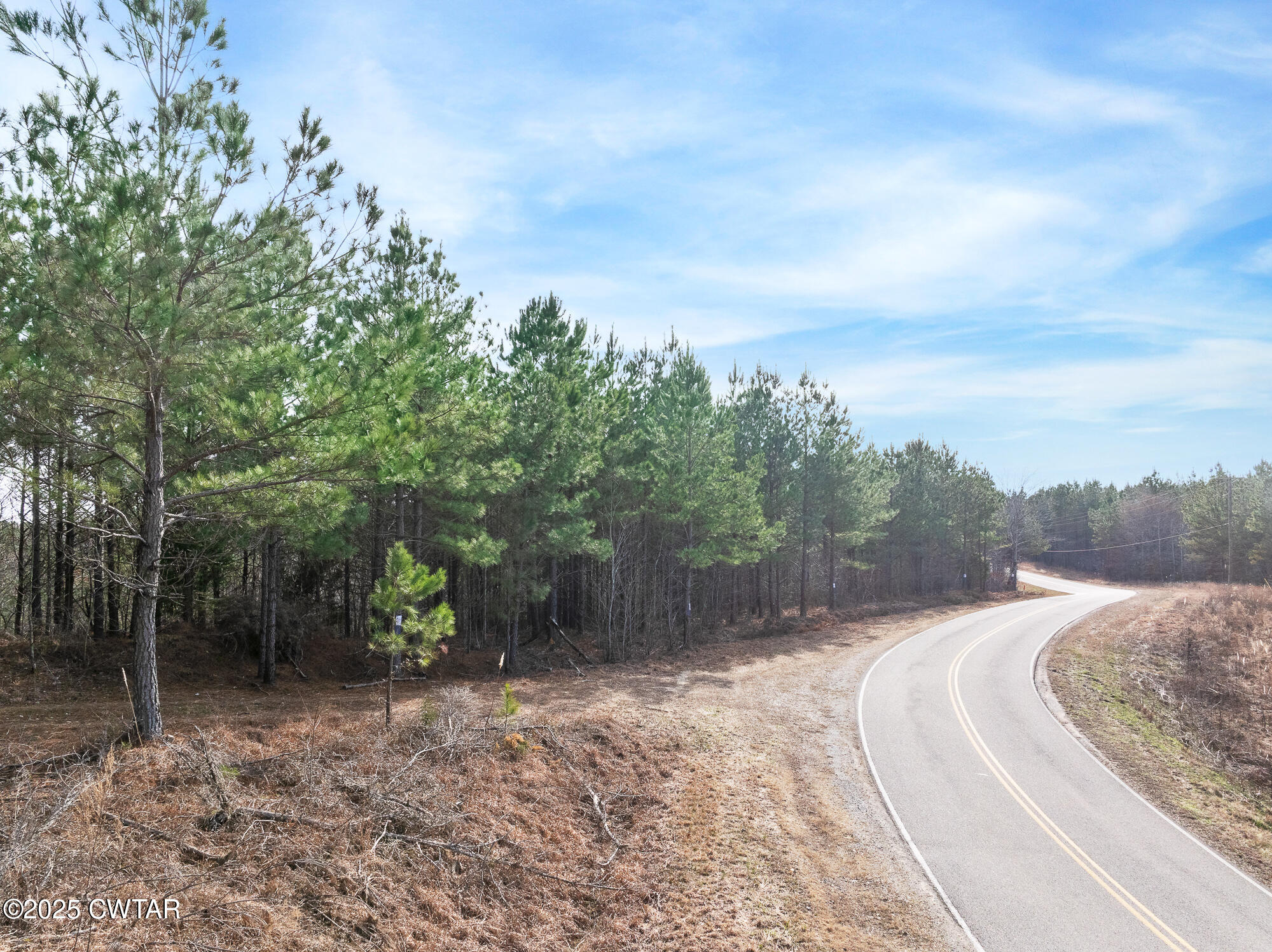 0 Old State Highway 69 Road Sugar Tree, TN 38380 - Photo 5 of 12 DJI_20250218154630_0635_D