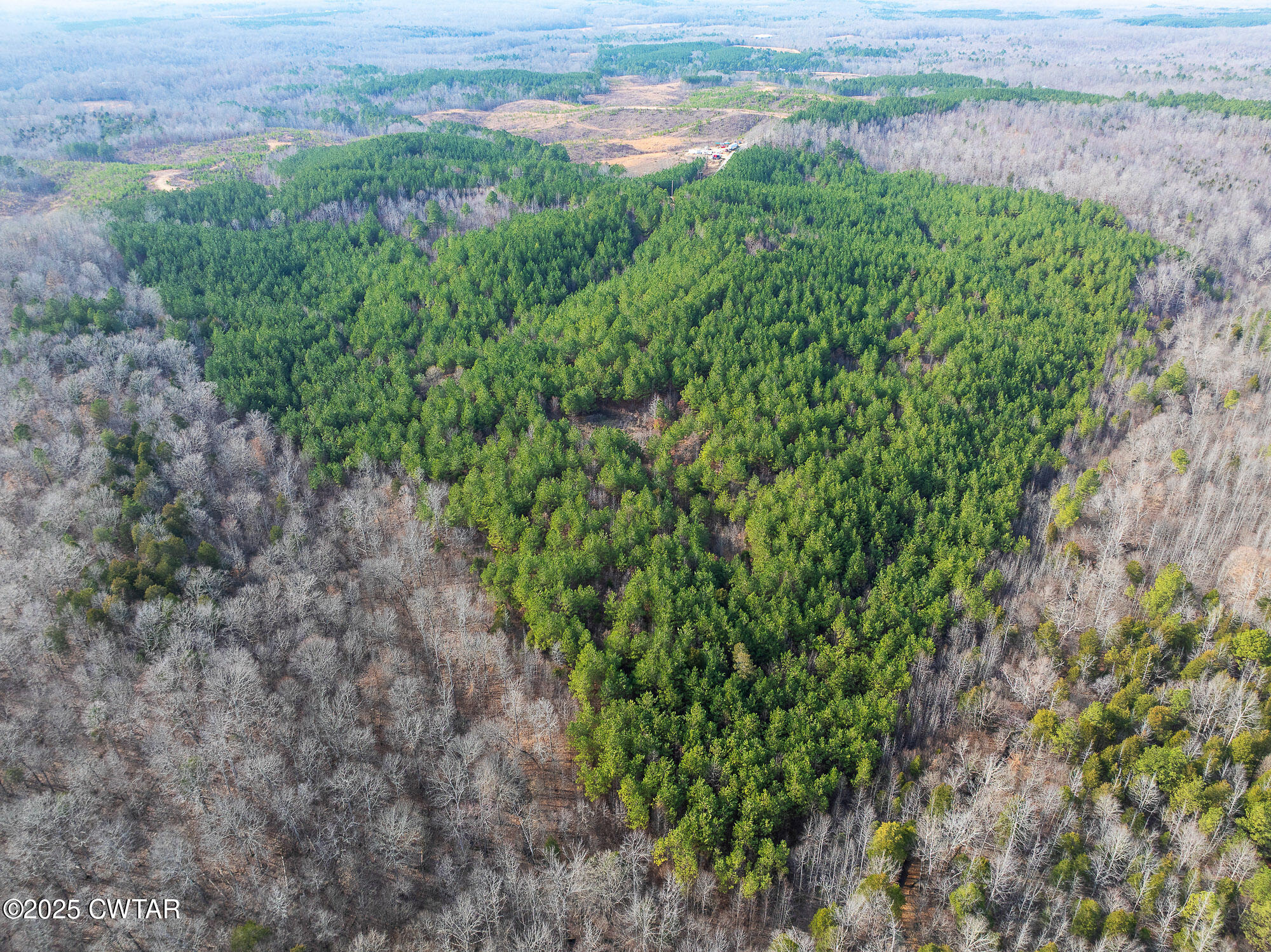 0 Old State Highway 69 Road Sugar Tree, TN 38380 - Photo 9 of 12 DJI_20250218155022_0641_D