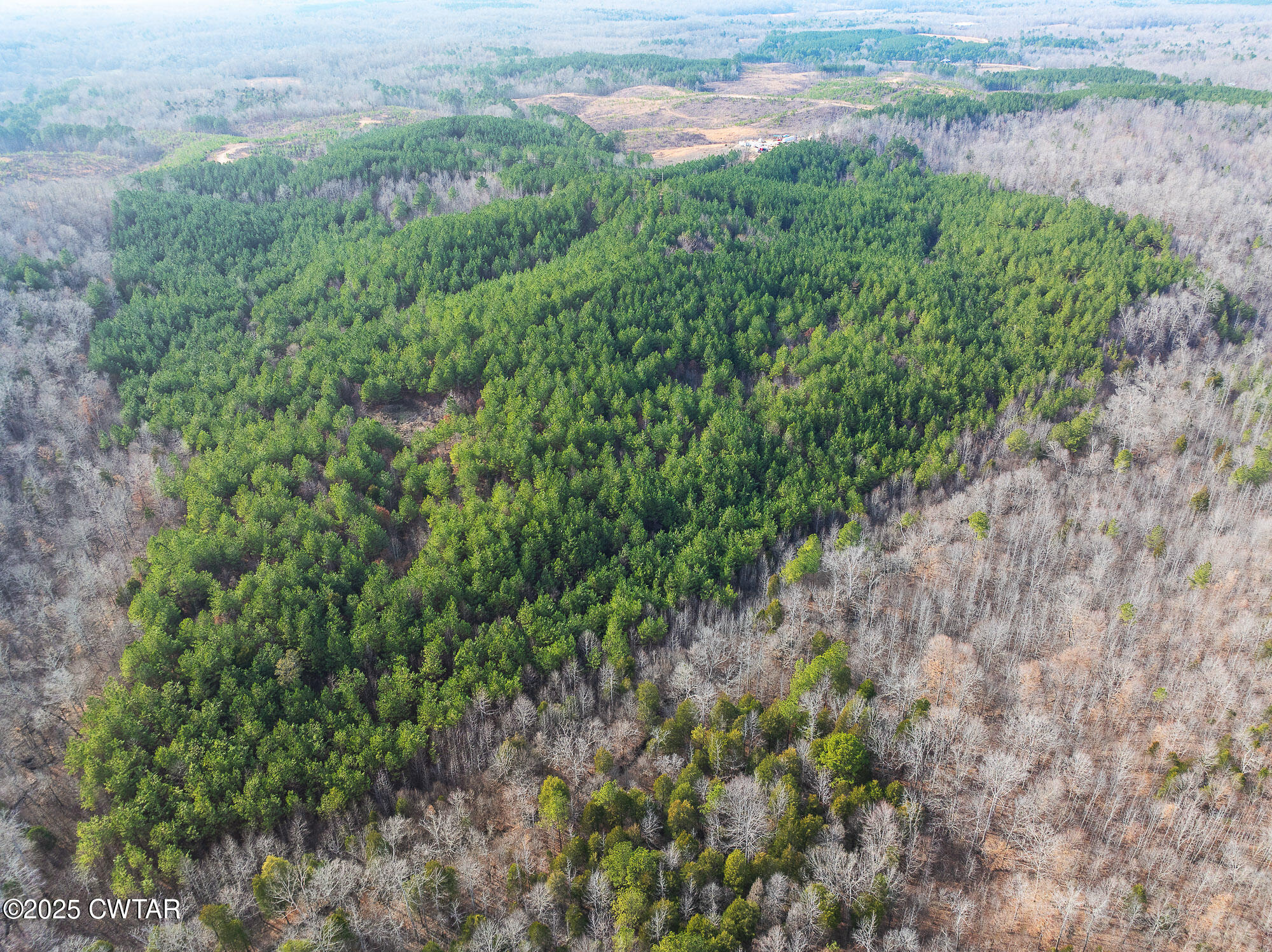 0 Old State Highway 69 Road Sugar Tree, TN 38380 - Photo 10 of 12 DJI_20250218155042_0642_D