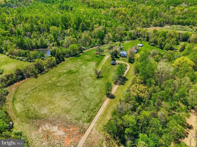 a view of a yard and trees