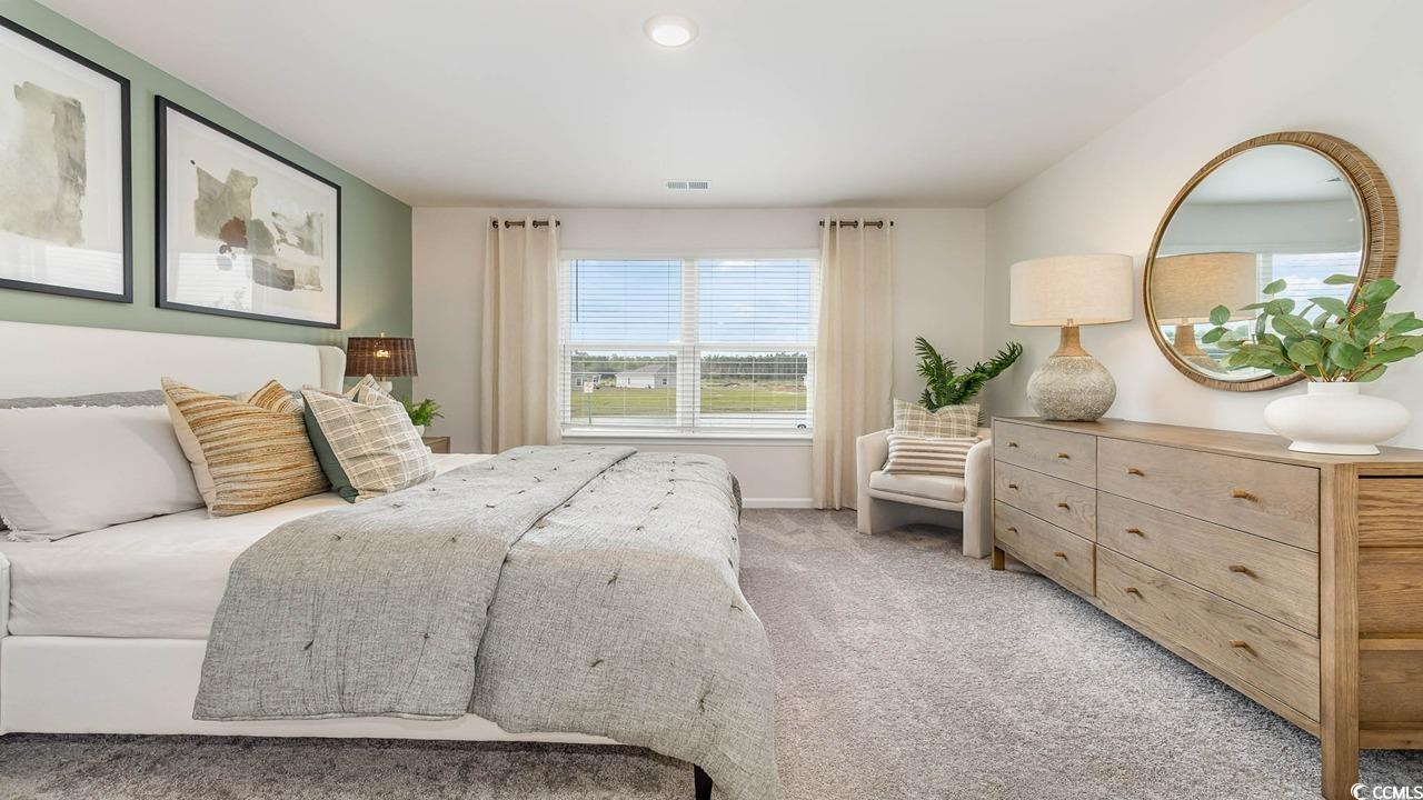 469 Harvest Rdg Way Conway, SC 29527 - Photo 20 of 24 Gallery Image 20