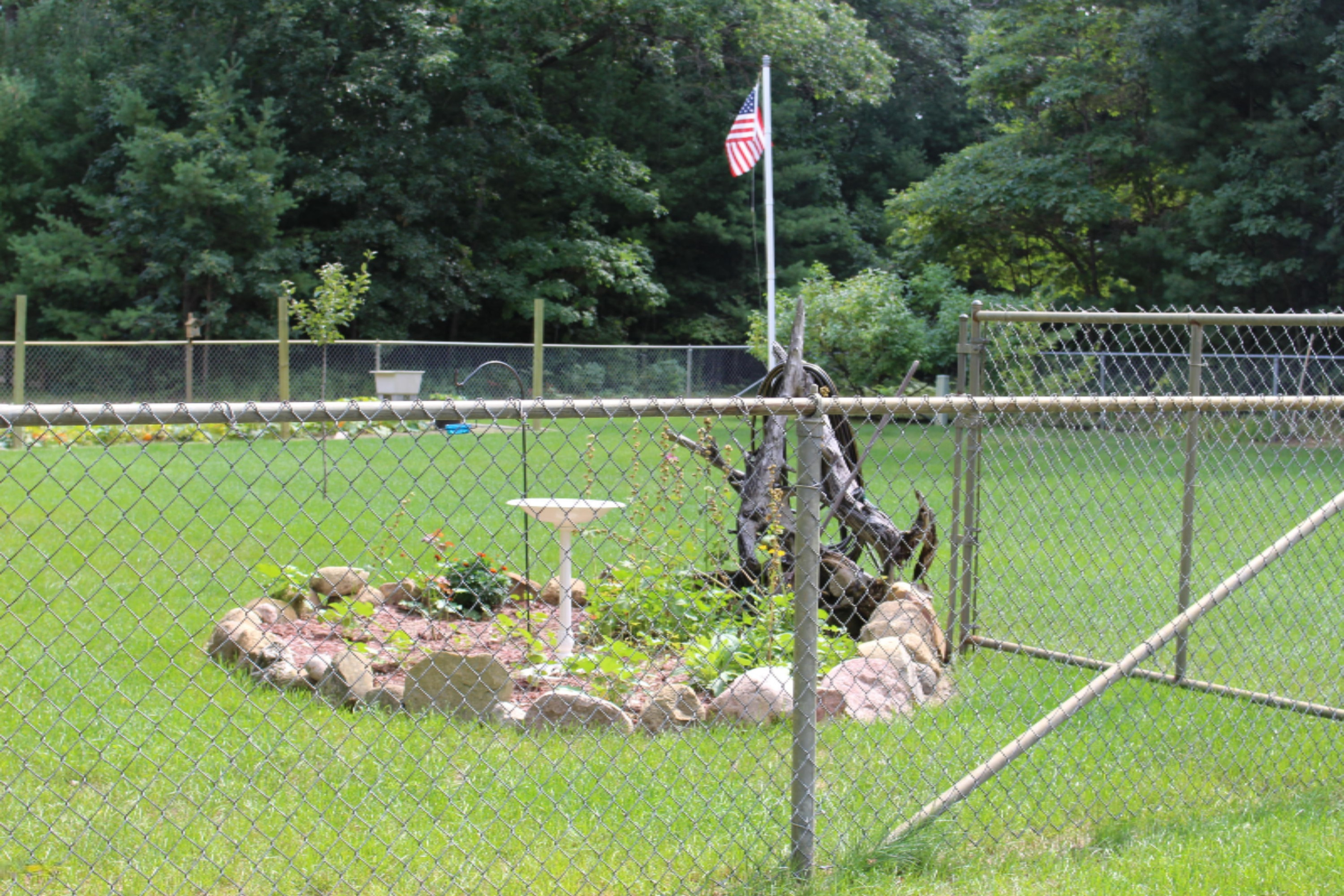 205 South Maple Road Branch, MI 49402 - Photo 36 of 38 IMG_0998