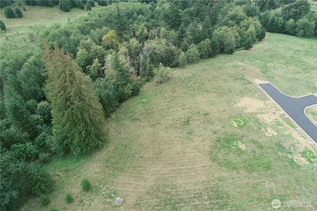 a view of a yard with trees