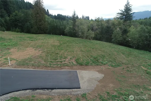 a view of a yard with a tree