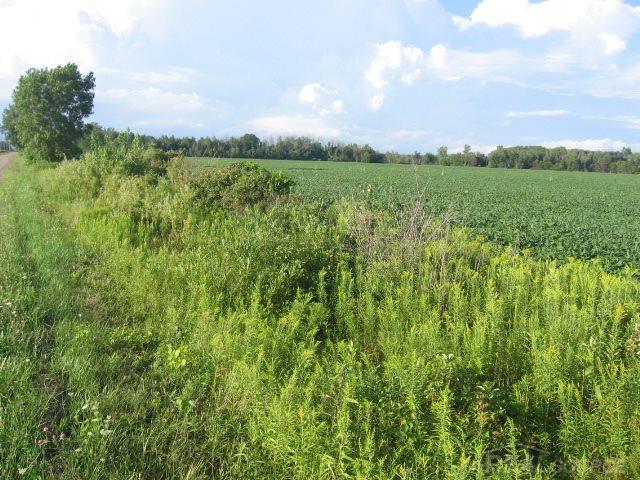 Tbd Fitch Carsonville, MI 48419 - Photo 6 of 7