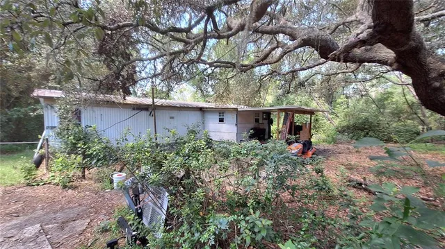 a view of a house with a tree and plants