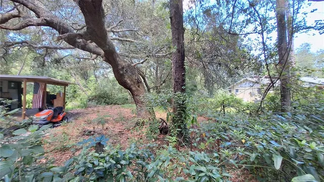a view of a park that has a tree on the side of the road