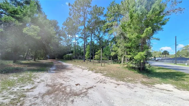 a view of a yard with a tree