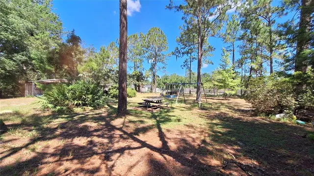 a view of a tree with yard