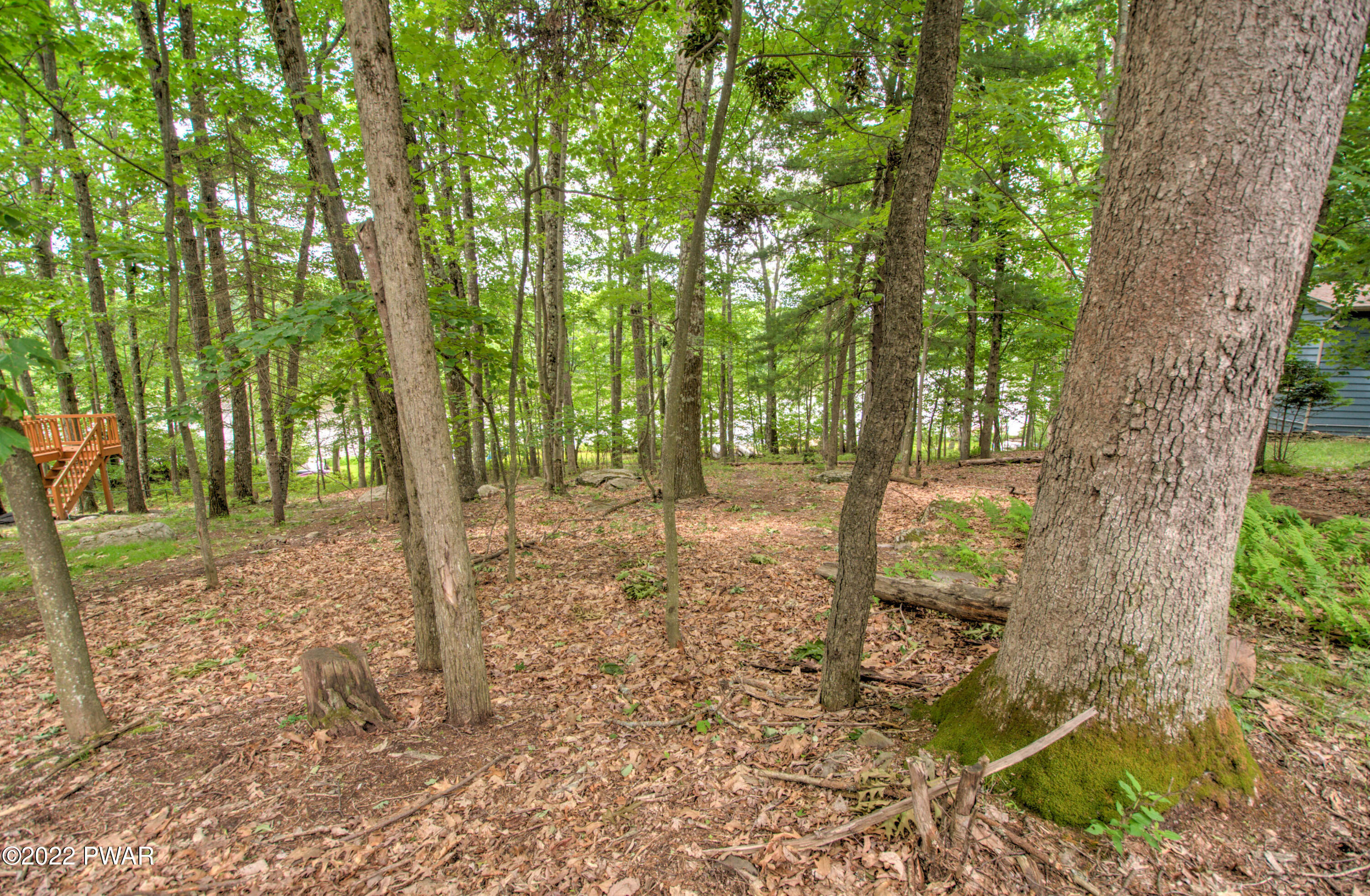 36 Whitney Lake Road Hawley, PA 18428 - Photo 5 of 45