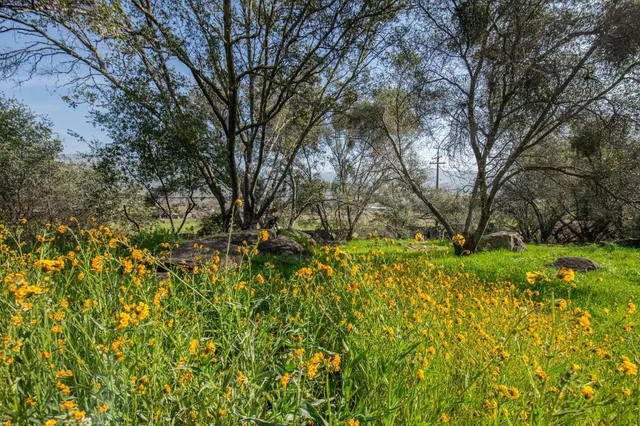 $470,000 | 37129 Pebble Lane, Squaw Valley, CA 93675