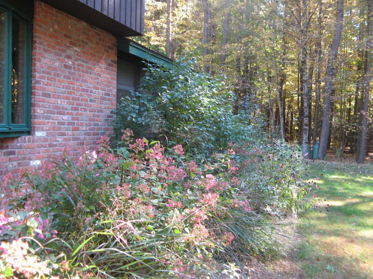 Landscape garden