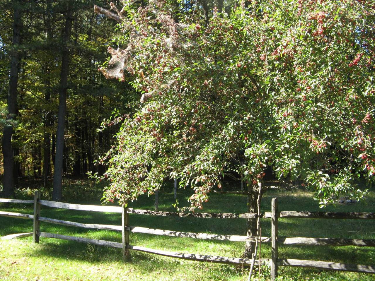 28 Old Hitchcock Road Great Barrington, MA 01230 - Photo 10 of 18 Paddock
