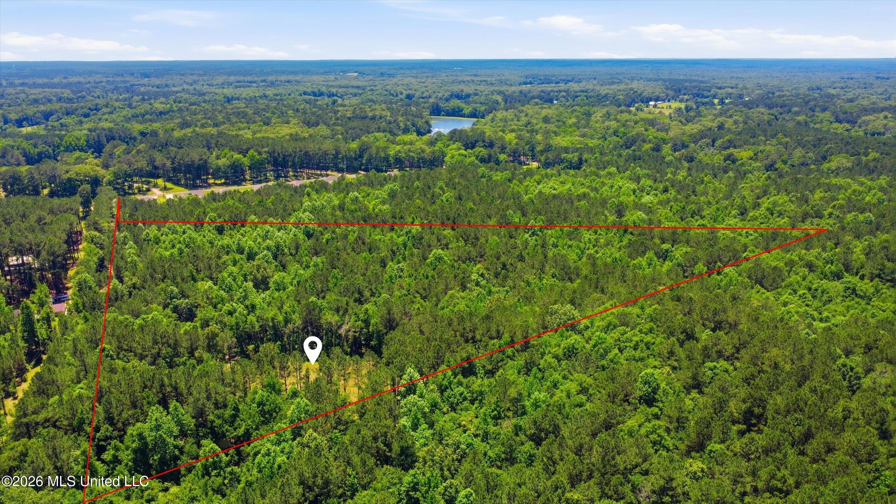 Lake Road Brandon, MS 39042 - Photo 18 of 19 18-Old_Lake_Rd_Drone_018