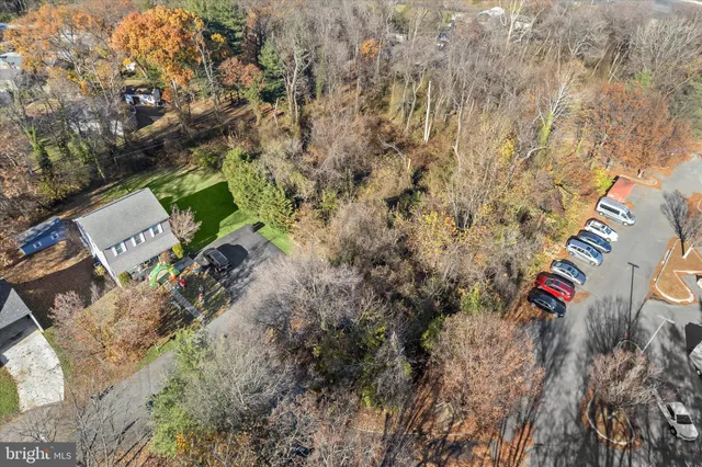 a view of road view with large trees