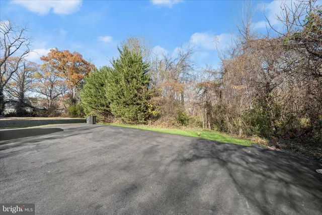 a view of a trees with a yard