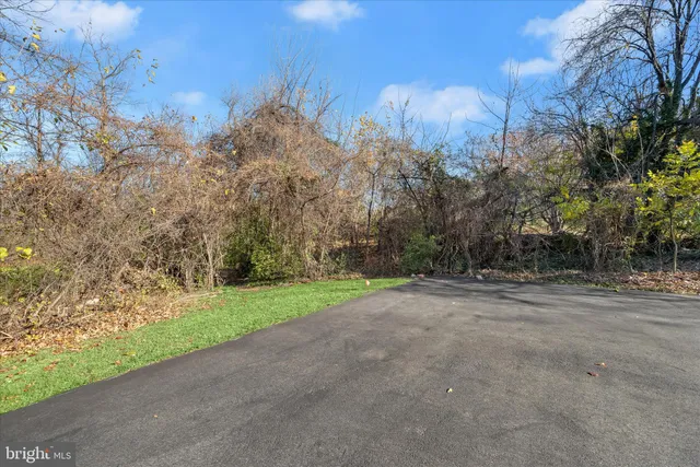 a view of yard with green space