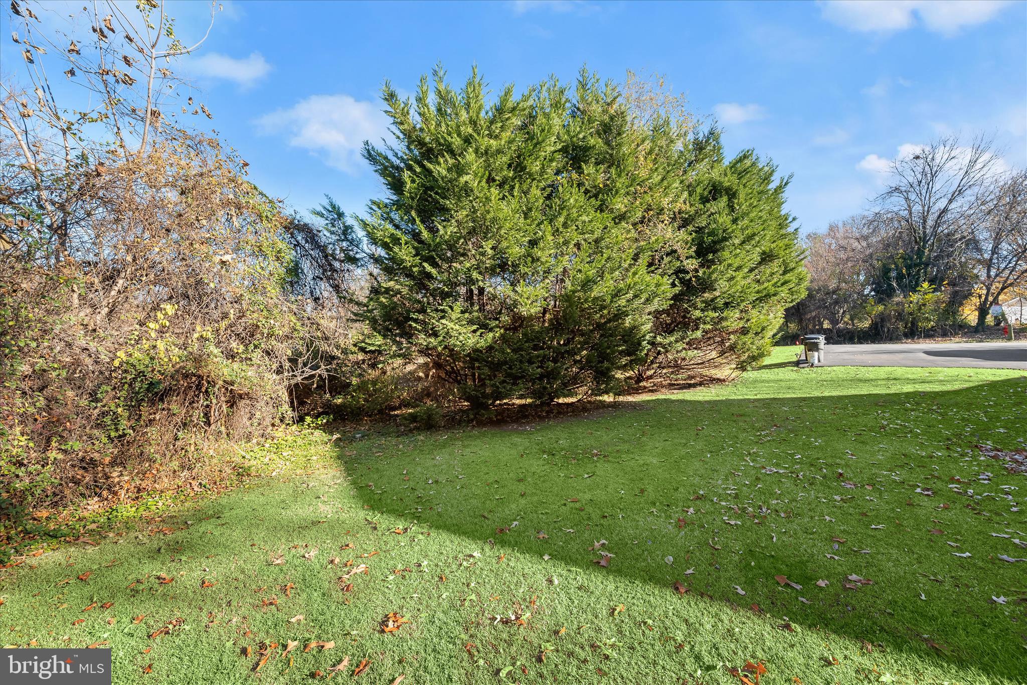 Sulphur Spring Baltimore, MD 21227 - Photo 29 of 30 a view of a trees with a yard