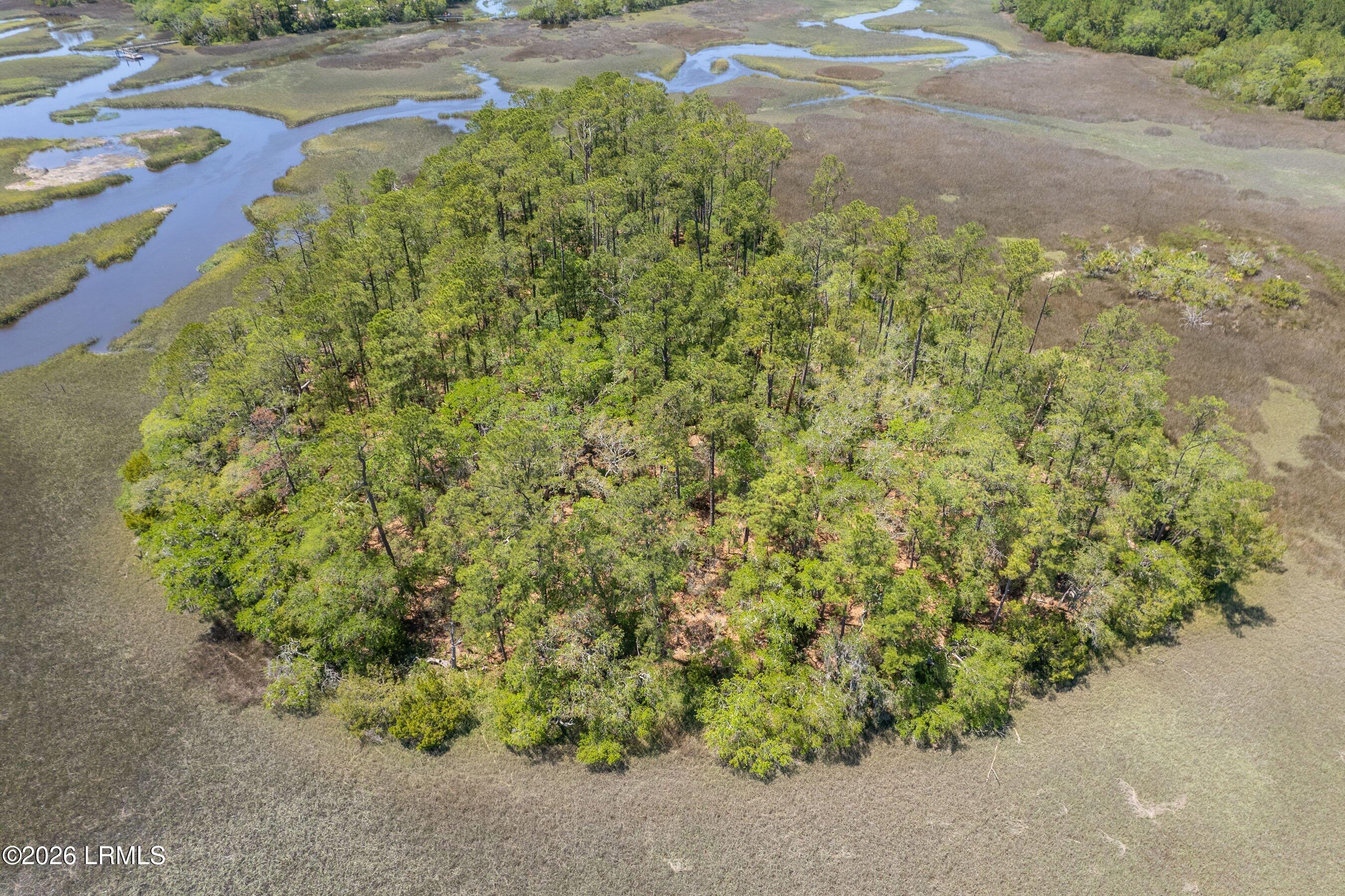 Tbd Wimbee Creek Road Seabrook, SC 29940 - Photo 15 of 19 DJI_0181-1.jpg-FULL.JPG-SMALL