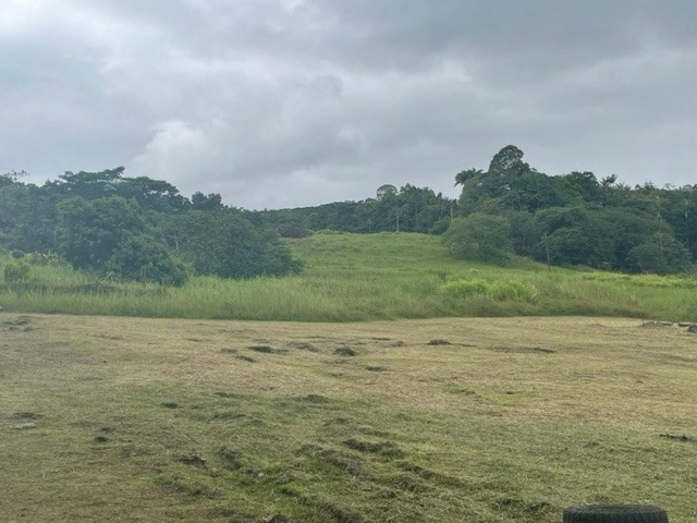 17-492 Volcano Road Kurtistown, HI 96760 - Photo 11 of 13 Gallery Image 11
