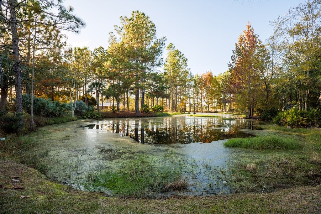 3659 Rountree Brg Road Adel, GA 31620 - Photo 26 of 67 Gallery Image 26