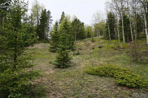 $32,500 | Vacant Land Cripple Creek, Cripple Creek, CO 80813