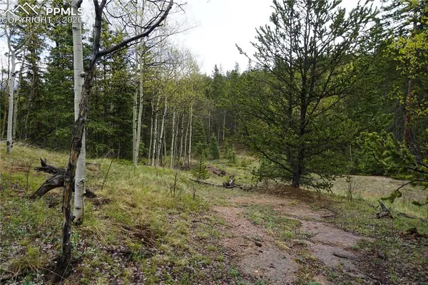 $32,500 | Vacant Land Cripple Creek, Cripple Creek, CO 80813