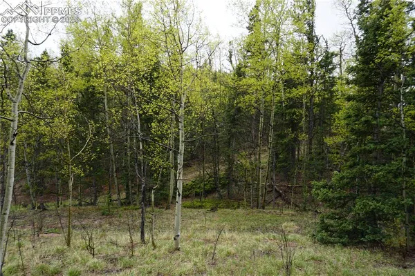 $32,500 | Vacant Land Cripple Creek, Cripple Creek, CO 80813