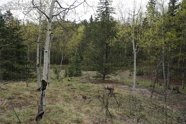 $32,500 | Vacant Land Cripple Creek, Cripple Creek, CO 80813
