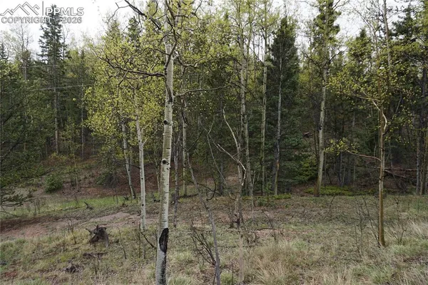 $32,500 | Vacant Land Cripple Creek, Cripple Creek, CO 80813